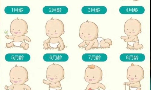 希克洛头孢克洛-头孢克洛希优洛价格网 - 为你提供头孢克洛缓释片、头孢克洛胶囊多少钱一盒